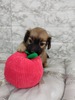 ~j`AE_bNXth q T ̃_bNX... 24931