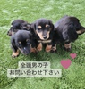 ~j`AE_bNXth q T _bNXՂ@ub... 24947