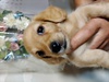 ~j`AE_bNXth q T _bNXthj̎q 24967