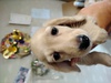~j`AE_bNXth q T CG[̏̎q 24984