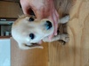~j`AE_bNXth q T j̎q 25050