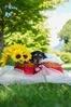 ~j`AE_bNXth q T PRANA ubNC... 25294