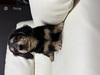 ~j`AE_bNXth q T ÂȔl... 25331