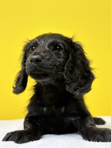 ~j`AE_bNXth ̔̔En 25348 ubN