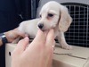 JjwE_bNXth q T ~j~jTCỸJj... 3801