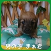 JjwE_bNXth q T 4Zł... 3837