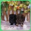 JjwE_bNXth q T ubN\bh`... 3886