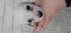 JjwE_bNXth q T ubNCG[Ɣ... 3903