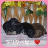JjwE_bNXth q T `RJ[4Z 3912