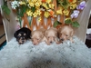 JjwE_bNXth q T ̂тȐǐZ... 3938