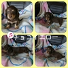 JjwE_bNXth q T Ԃȃ`ŘZ 3981