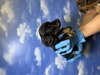 JjwE_bNXth q T JJjw 4024