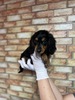 JjwE_bNXth q T Jjwj̎q@u... 4068