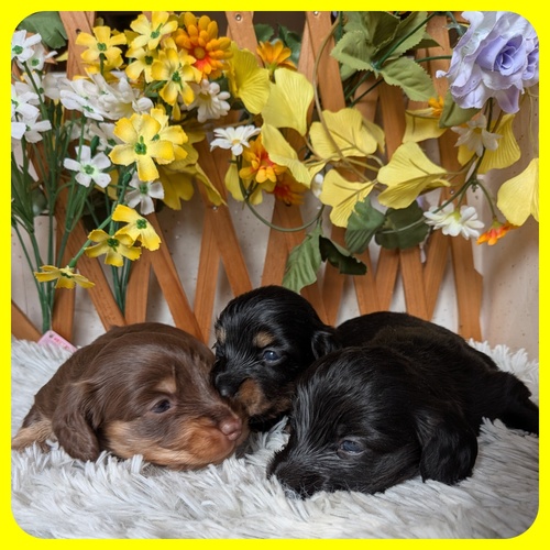 JjwE_bNXth ̔̔En 4101 낱3Z&#9752;&#65039;