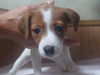 WbNEbZEeA q T WbNbZE... 2900