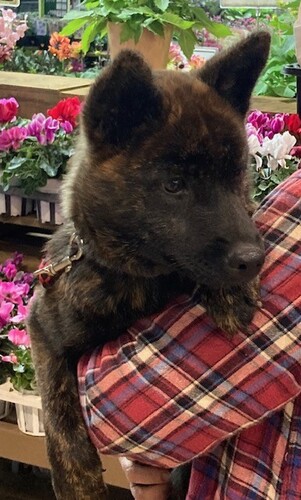 b㌢ ̔̔En 3002 ՖтYȏ̎q