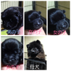`E`E q T ubN̉`... 261
