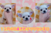 ` q T ƂĂ̎q... 28370
