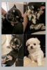 ` q T `SC... 28469