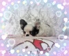 ` q T @葫Zڂ... 28516