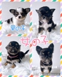 ` q T ߂ႭZ... 28526