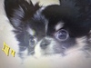 ` q T ÂV̉... 28539