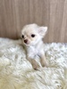 ` q T `O@̎q 28581
