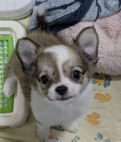 ` ̔̔En 28584 O`̒j̎q
