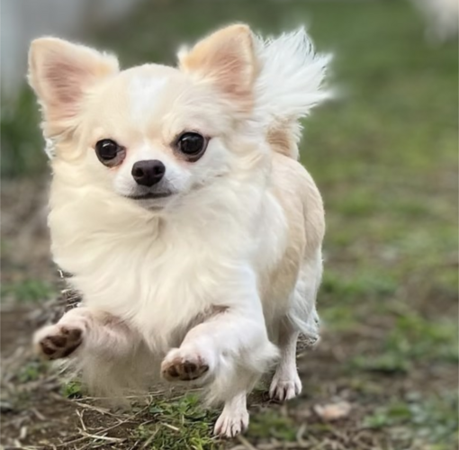 N[&zCg̏̎q ̔̔ 28653