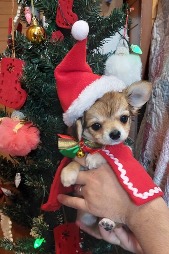 ` ̔̔En 28665 PO܂łɂ}̕1~v܂