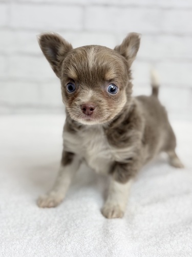 ` ̔̔En 28672 CUx^zCg0974