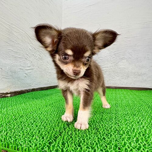 ` ̔̔En 28677 `(݂邭)