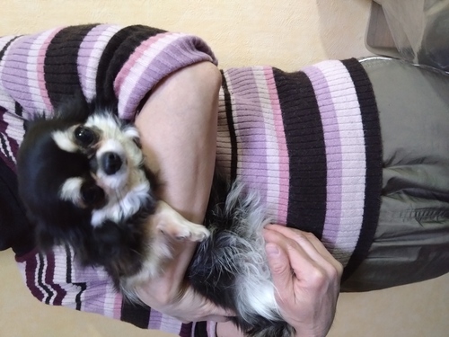 �`���� ���̔̔��E���n 28678 �P������u���b�N�N���[���o��