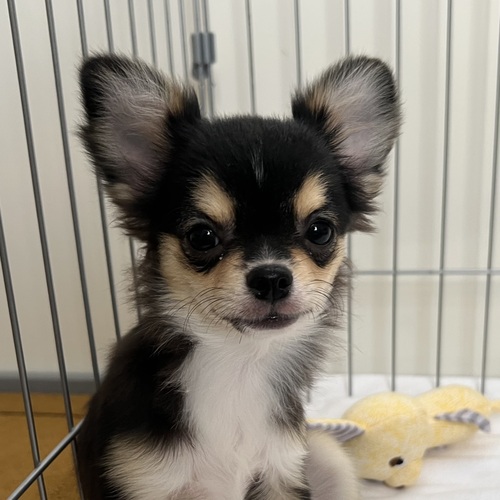 ` ̔̔En 28689 ubN^̏̎qI