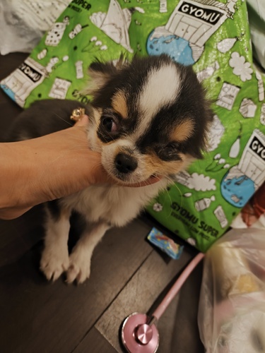 ` ̔̔En 28696 Жڂ&#10083;&#65039;͂܂łB