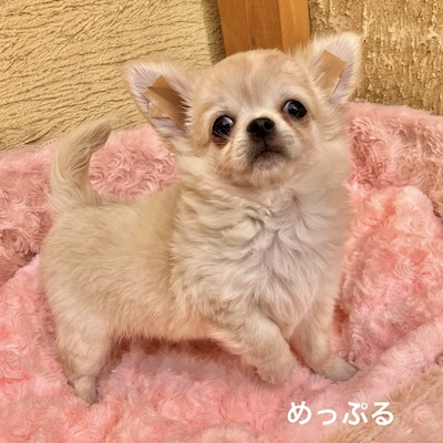 ` ̔̔En 28697 킽߉qu߂Ղvn\