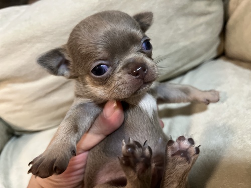 ` ̔̔En 28700 Ƌl܂CUx^̃X[X