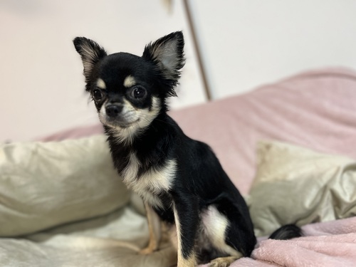 ` ̔̔En 28705 AqubN^