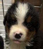 o[j[YE}EeEhbO ̔̔En 2453 [bpC