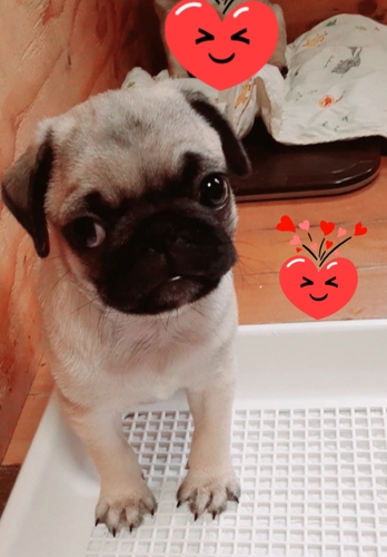 pO ̔̔En 5254 Z`_(^-^)^