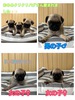 pO q T 肪Ƃ܂... 5287