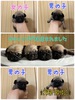 pO q T pOla^_^X^[... 5296