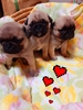 pO q T Ă߂_(^-^... 5338