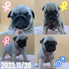 pO q T ʎߎʎJKCݎ... 5359