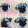 pO q T 󂠂 5380