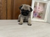 pO q T `R@pOZ 5505