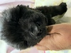 j[t@hh q T ̓Vg͊F... 717