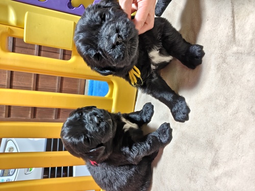 �j���[�t�@���h�����h ���̔̔��E���n 784 �����D�G�j���[�t�@���h�����h���܂�Ă��܂�
