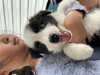 {[_[ER[  q T {[_[R[Baby... 4622