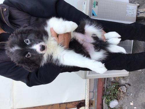 �{�[�_�[�E�R���[  ���̔̔��E���n 4753 �󂠂�ɂĊi���I